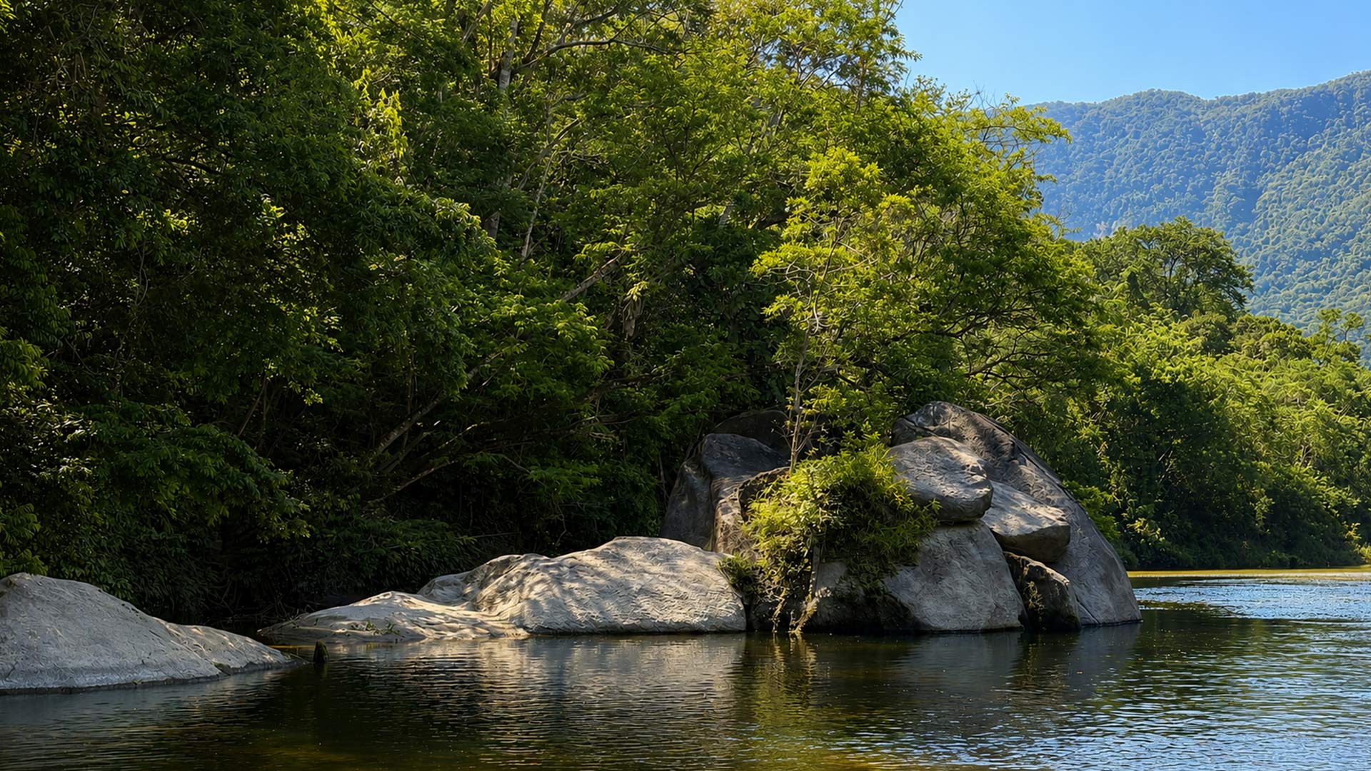 Cenário da Trilha do Vale Verde em Bertioga