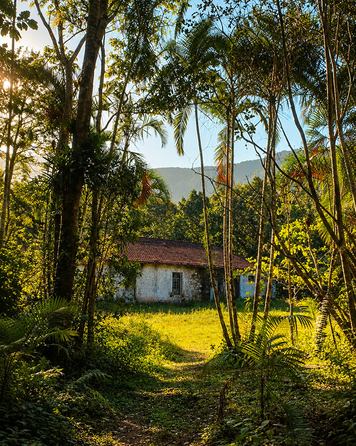 Ruínas da Casa de Pedra na Mata Atlântica em Bertioga